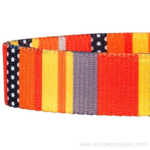 Professional Pet Adjustable Nylon Buckle Dog Collars